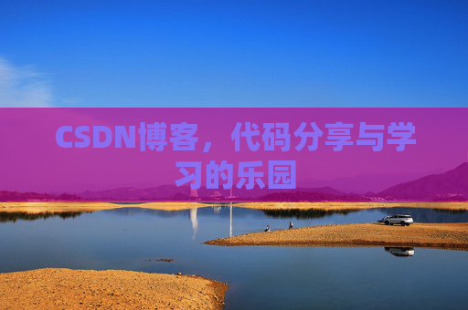 CSDN博客，代码分享与学习的乐园